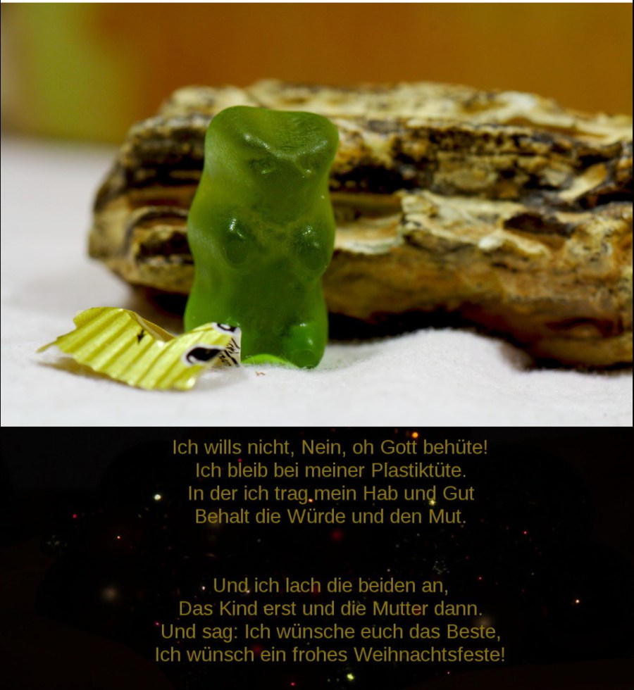 Weihnachtsgeschichte8